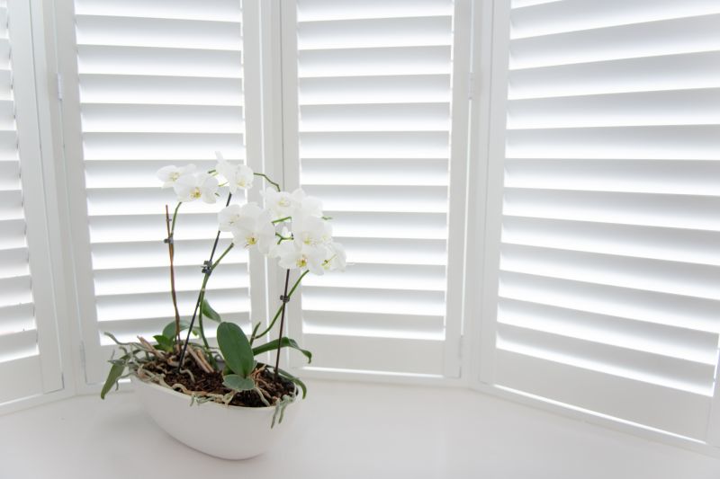 Louvered Shutters Installation in Littleton, CO